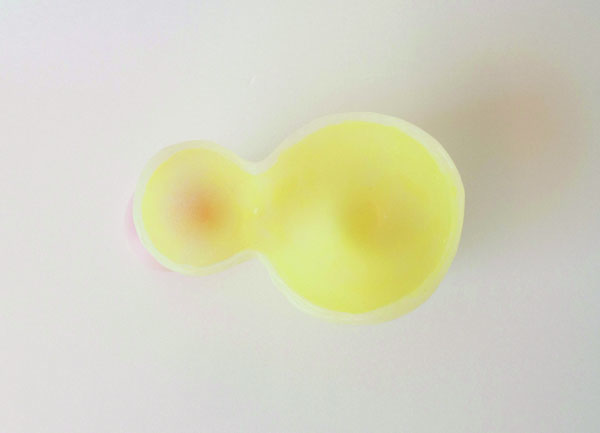 Sensorial Appetizer